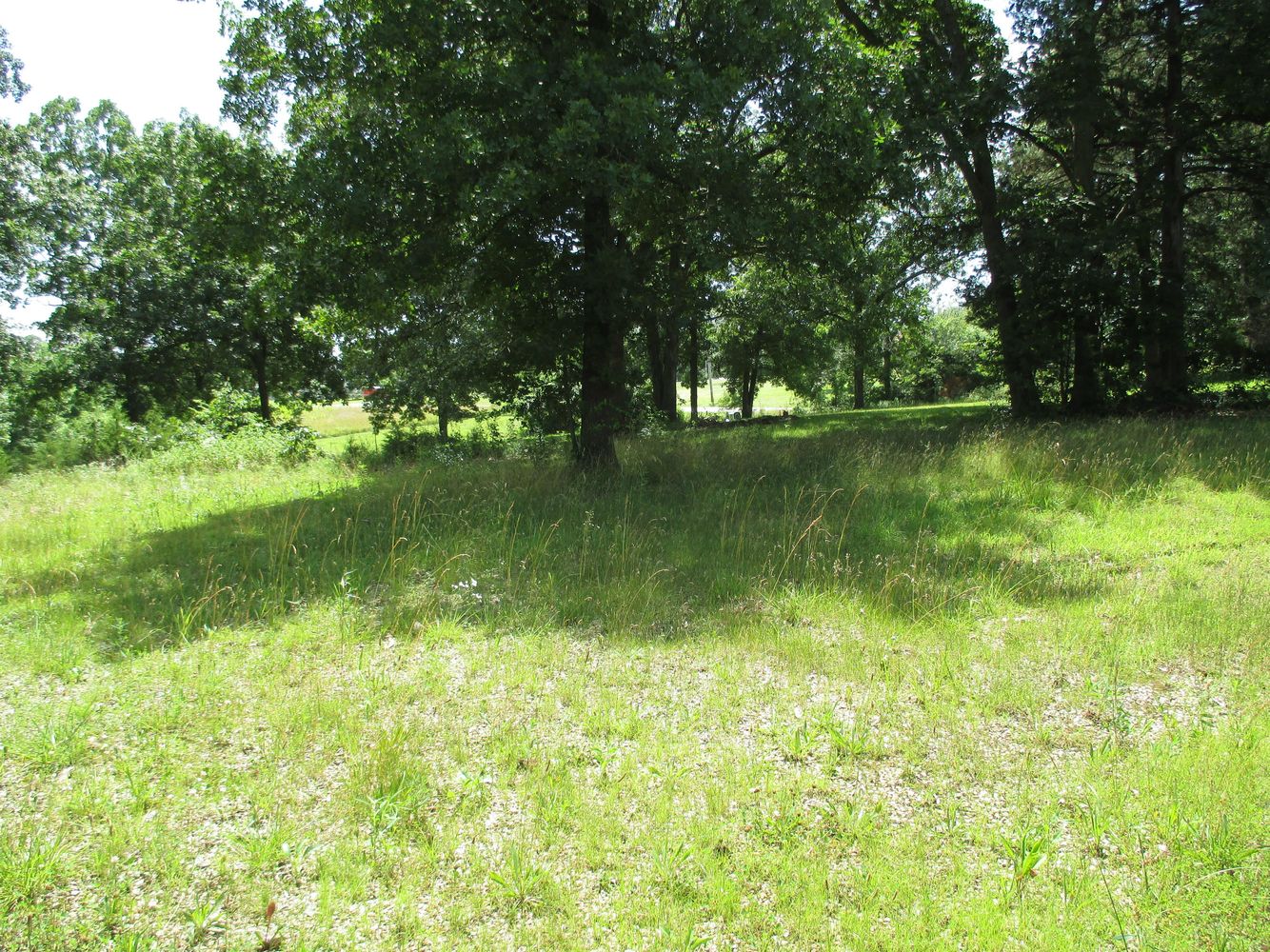 Hwy 254 Owens Lakeside Manor Tract East And F: Hwy 254 Owens Lakeside Manor Tract East And F, Hermitage, MO 65668